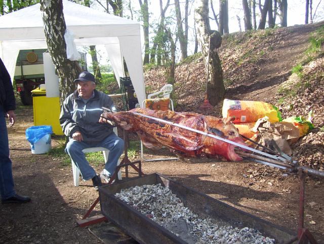 Steinkuhle 2008 (1).JPG